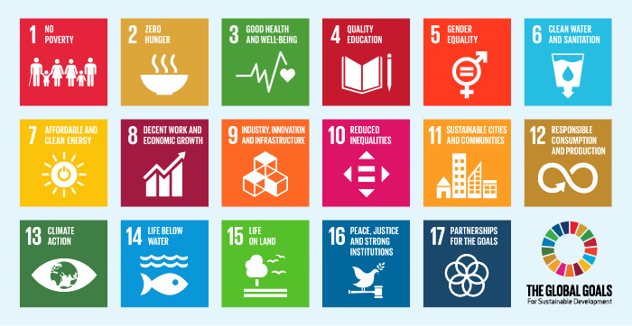 UN Sustainability Dev Goals
